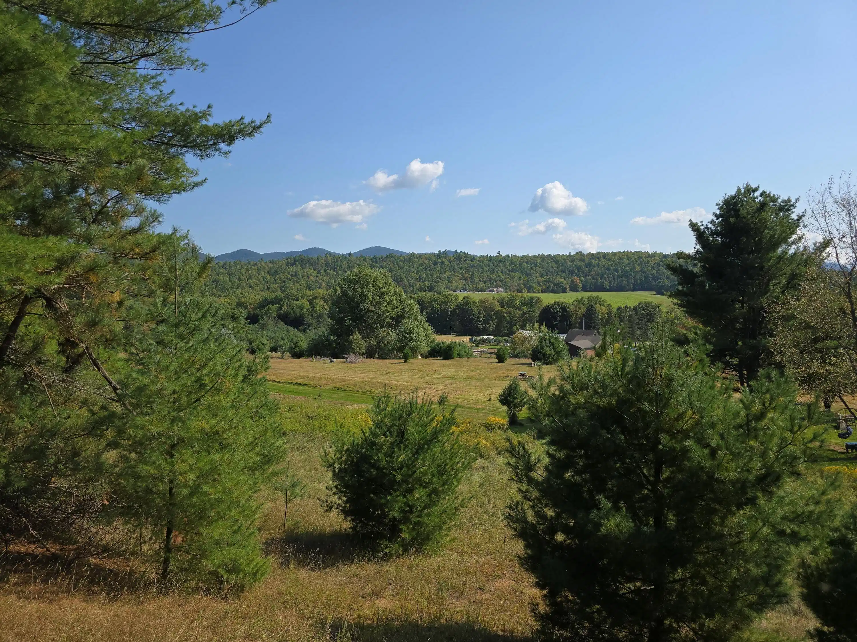 Image 1: new