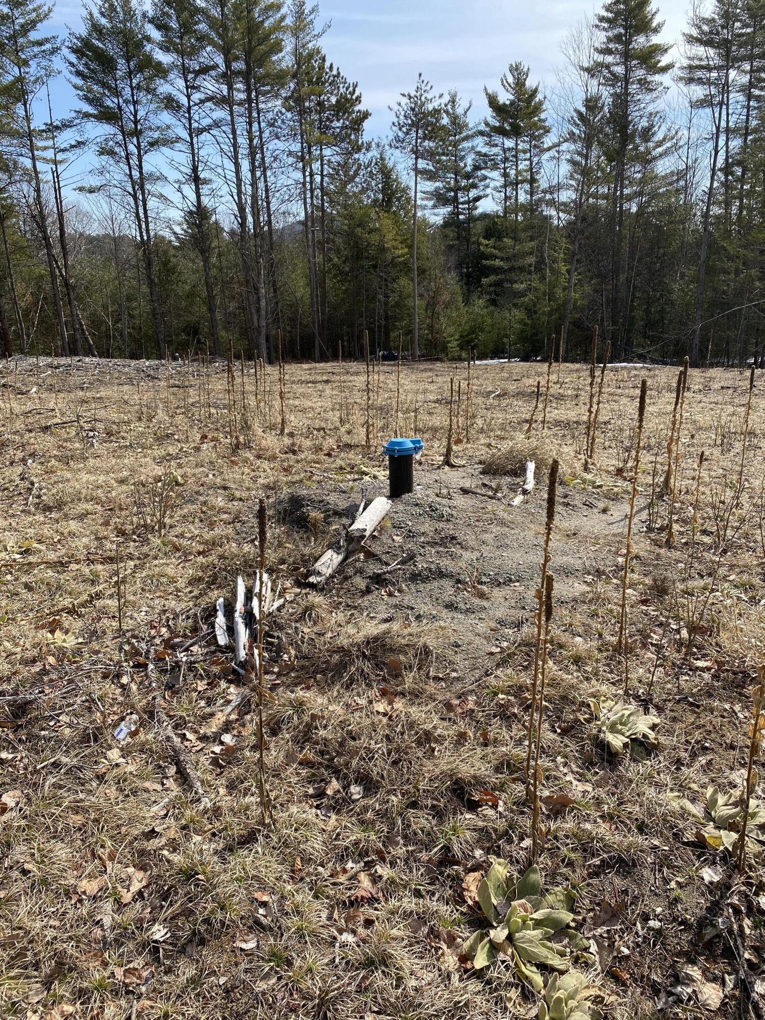 Image 3: Drilled Well