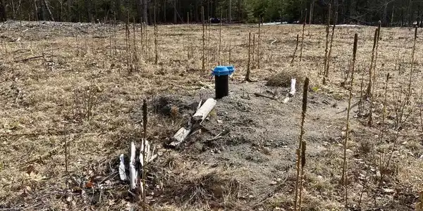 Image 3: Drilled Well