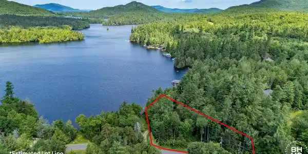 285 Blue Spruce
