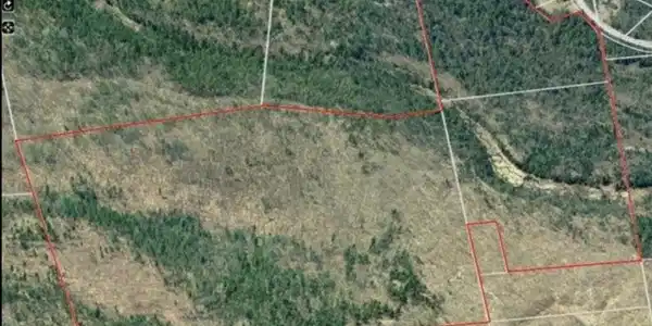 260 Gene Leferve Road