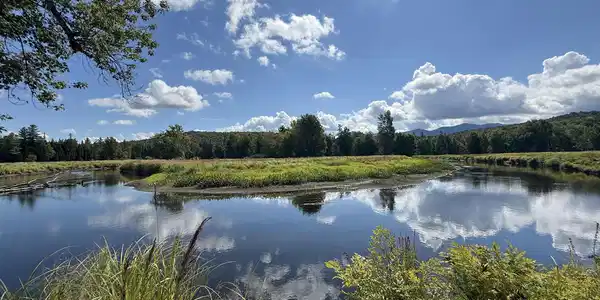 Image 3: GorgeousFarmhouseWithRiverfront_SaranacR