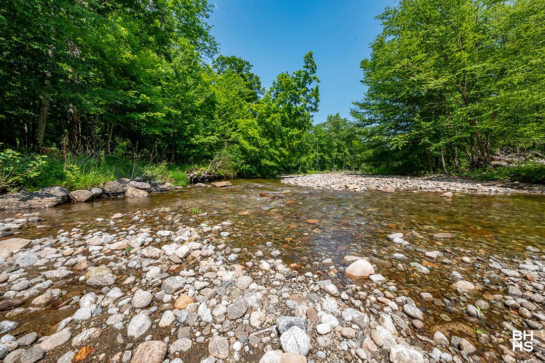 Image 4: RanchInNewRussia_BoquetRiver_M