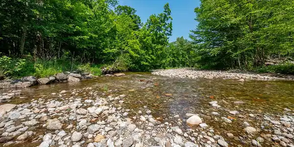 Image 4: RanchInNewRussia_BoquetRiver_M