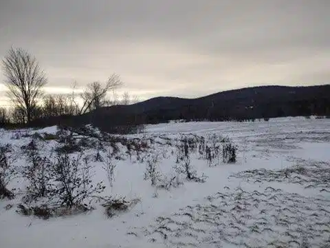 Image 1: Land