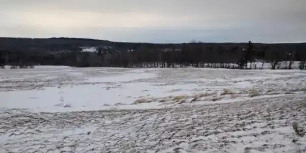 Image 2: Land