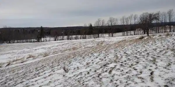 Image 3: Land