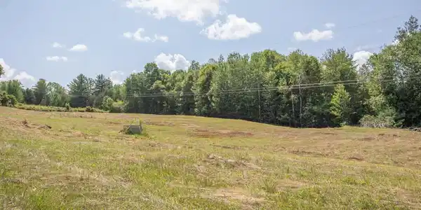 Image 3: TSCO8965