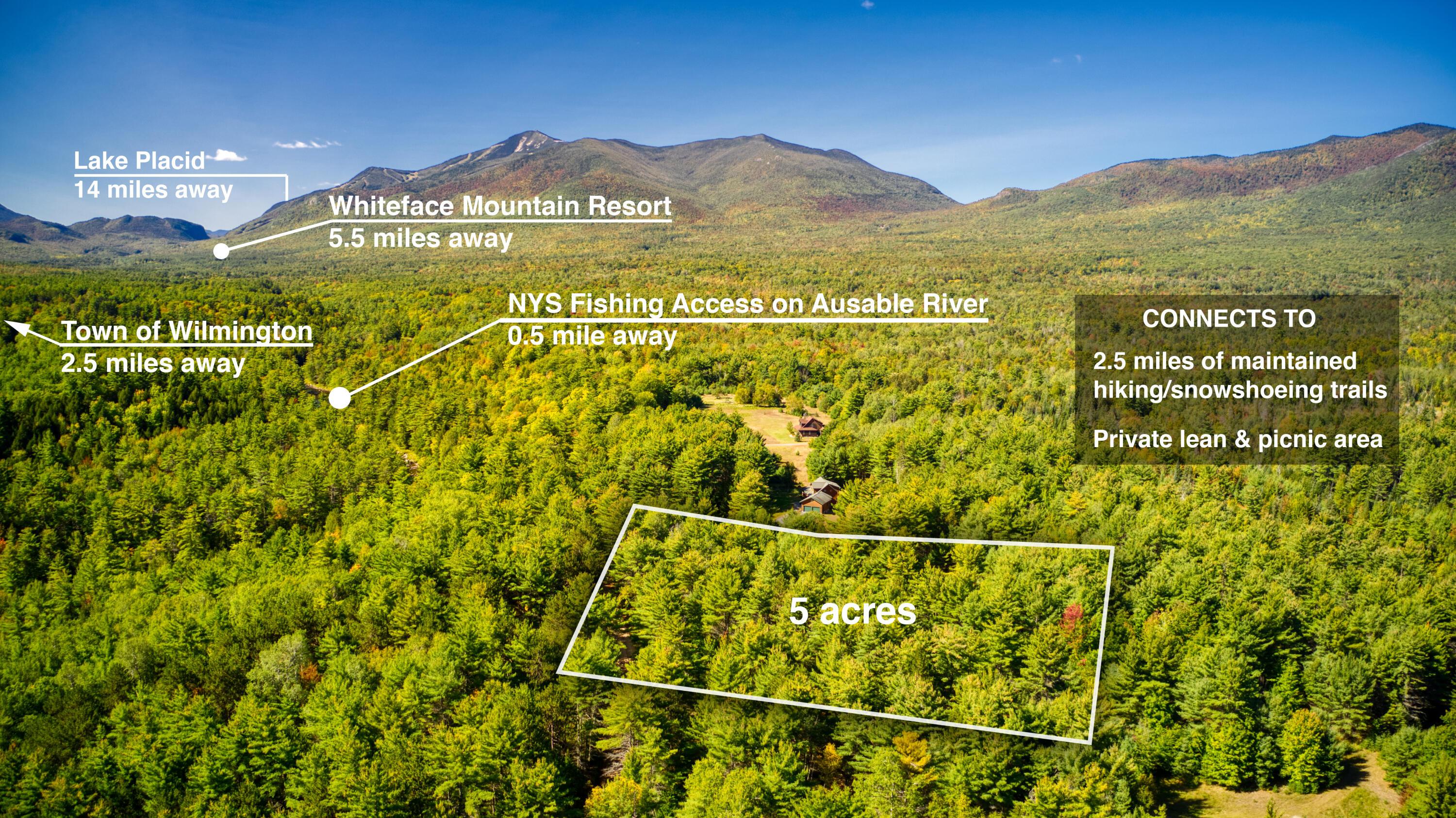 Image 1: Whiteface-Meadows