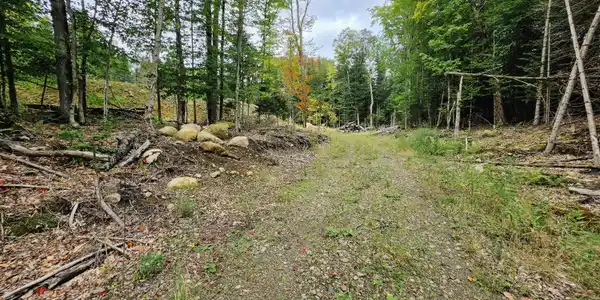 Image 2: 19 Uncas Rd, Inlet, NY