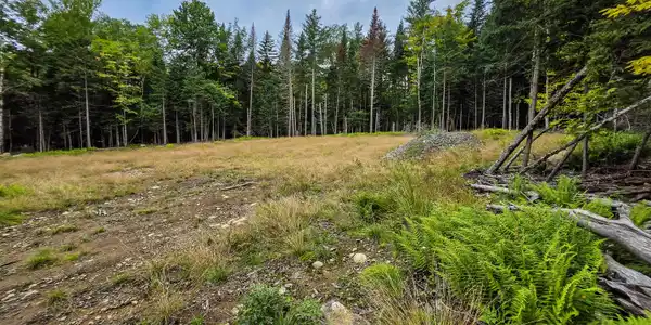 Image 3: 19 Uncas Rd, Inlet, NY
