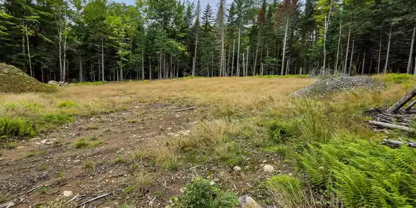 Image 4: 19 Uncas Rd, Inlet, NY