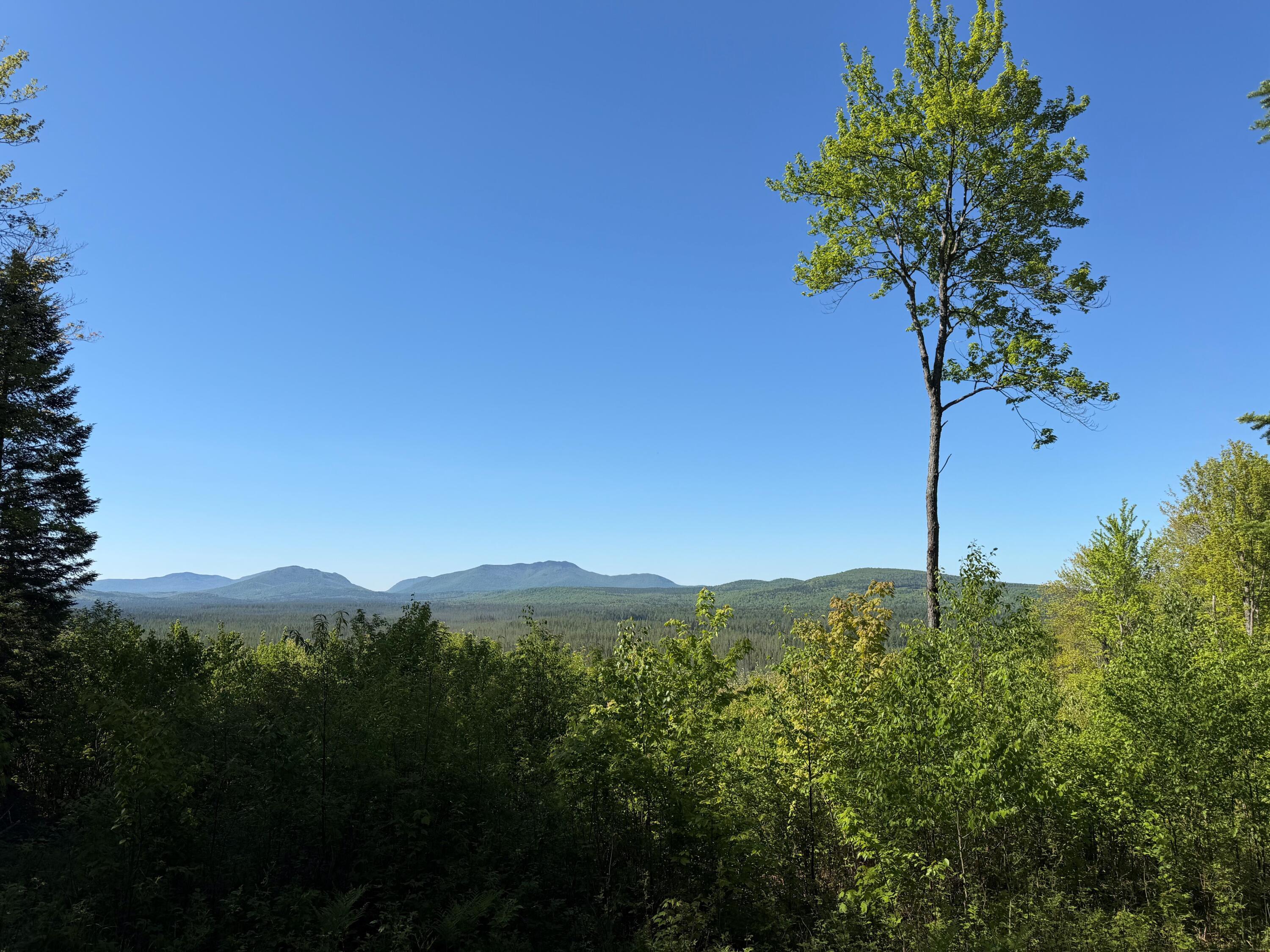 Image 2: 231 ADK Mountain Trail 2