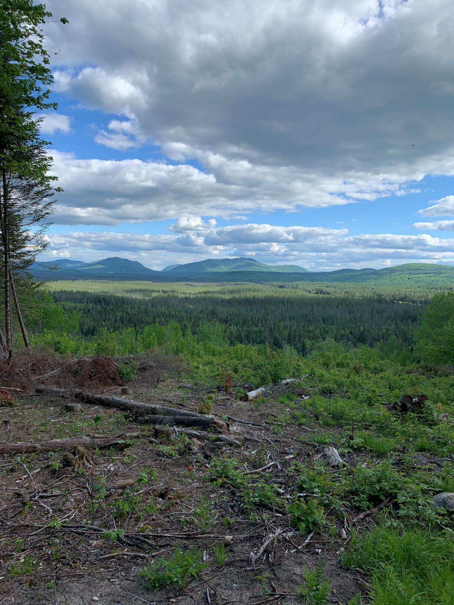 Image 3: 231 ADK Mountain Trail 3