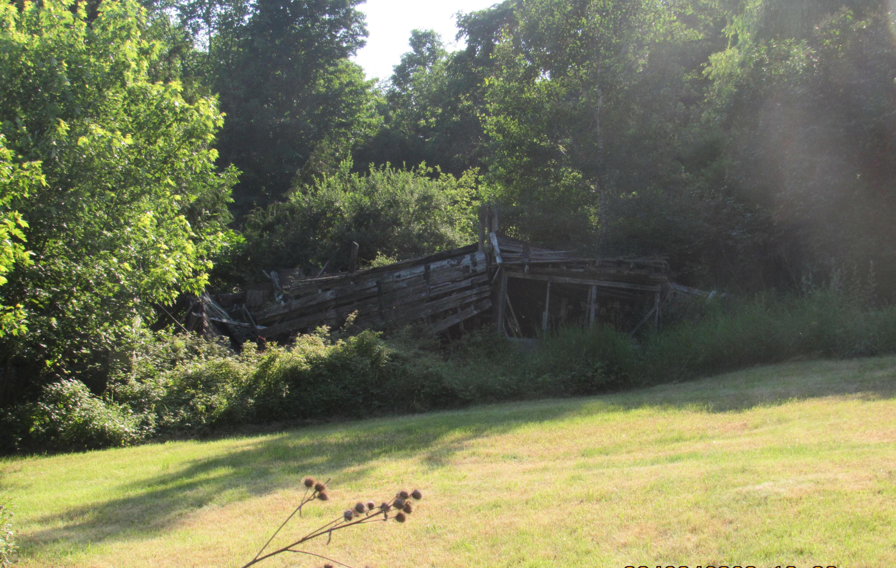 Image 3: Back Yard