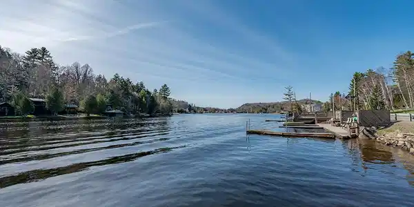 355 Lake Flower