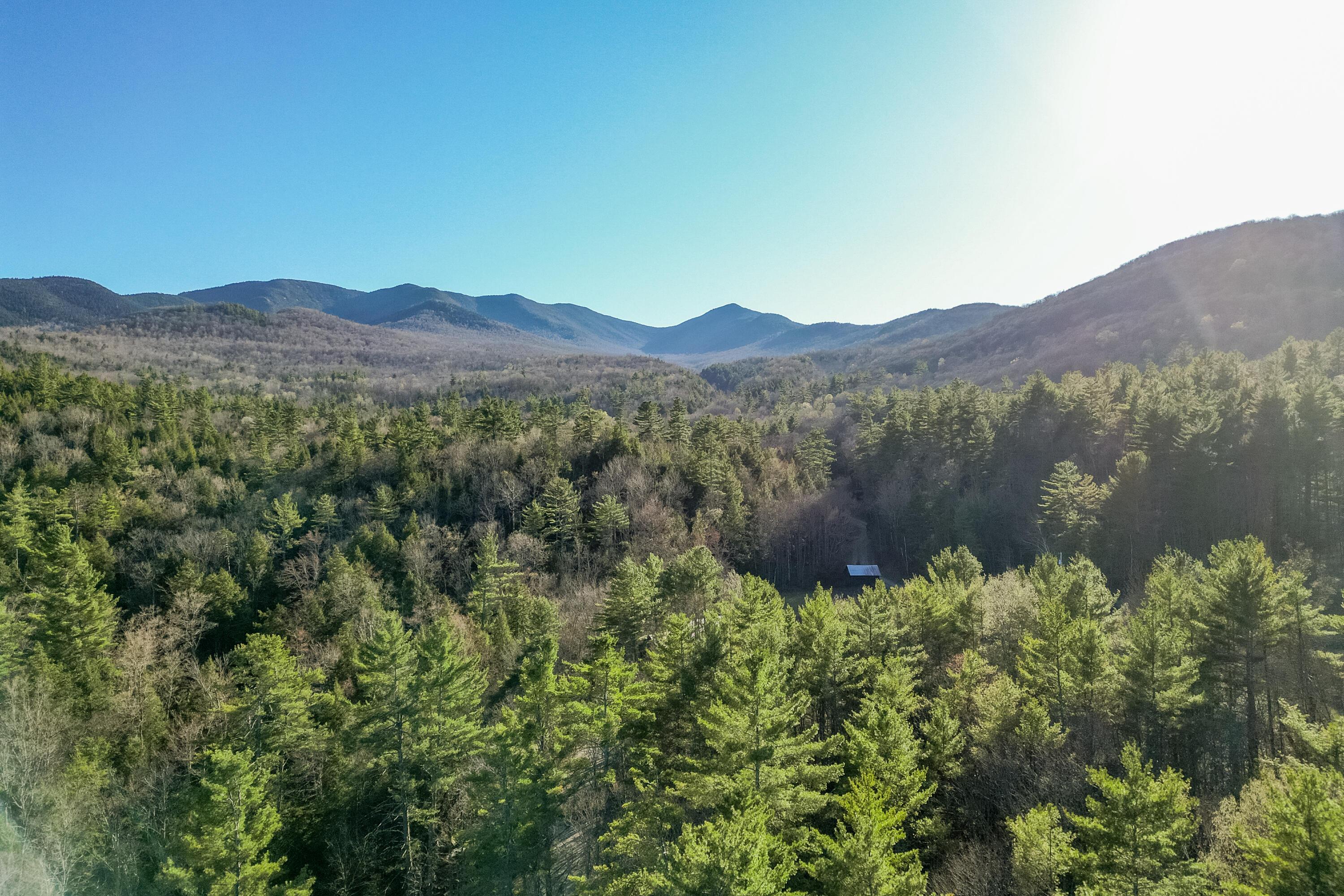 Image 4: DJI_0925