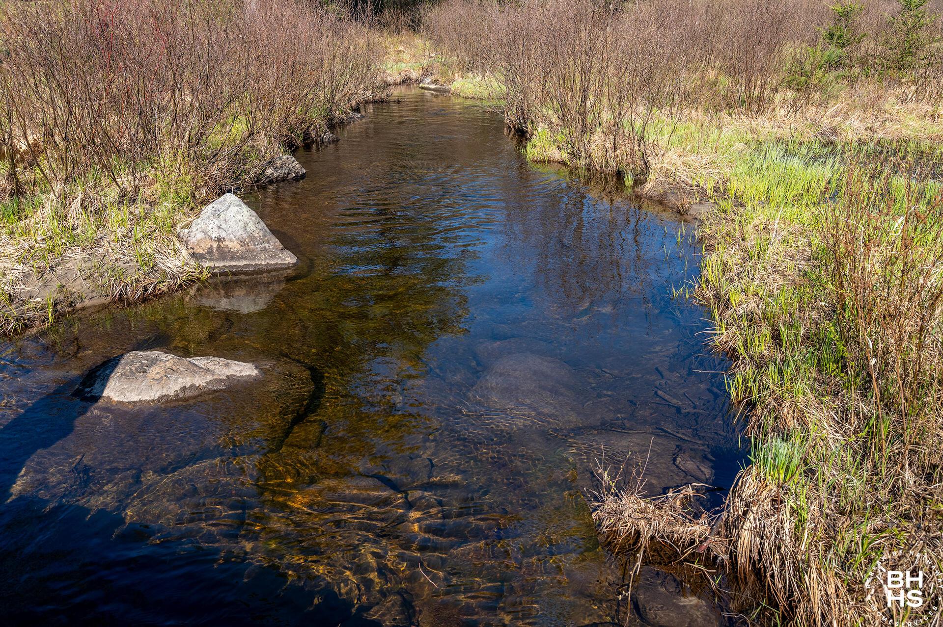 Image 3: Lot1OnLuckyWay_Pond