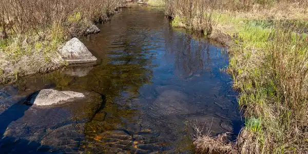 Image 3: Lot1OnLuckyWay_Pond