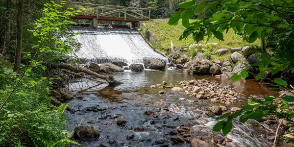 Image 4: 2292Gillespie_FrenchsBrook_Waterfall_Zoo