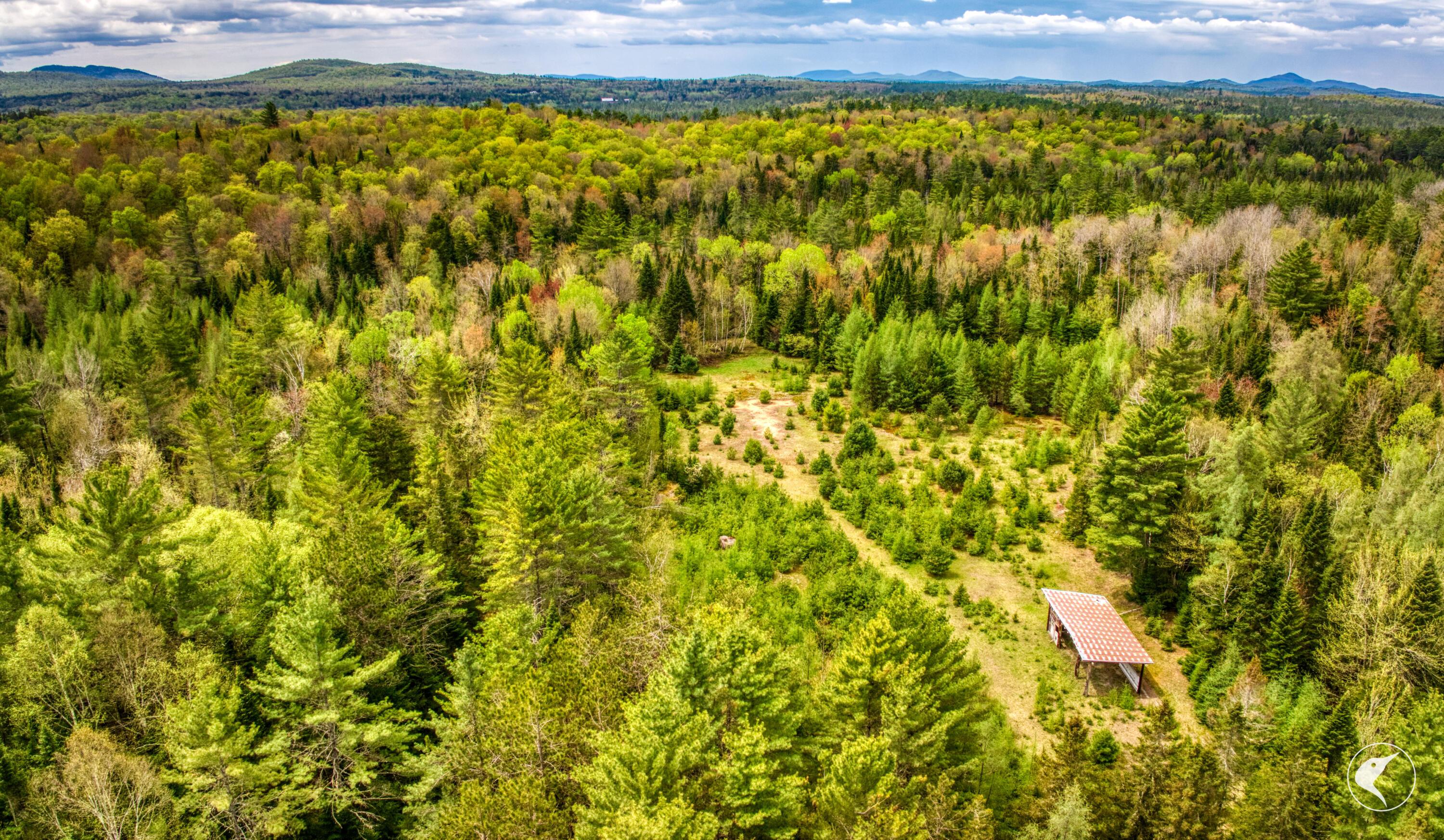 Image 2: DJI_20250516122843_0006_D