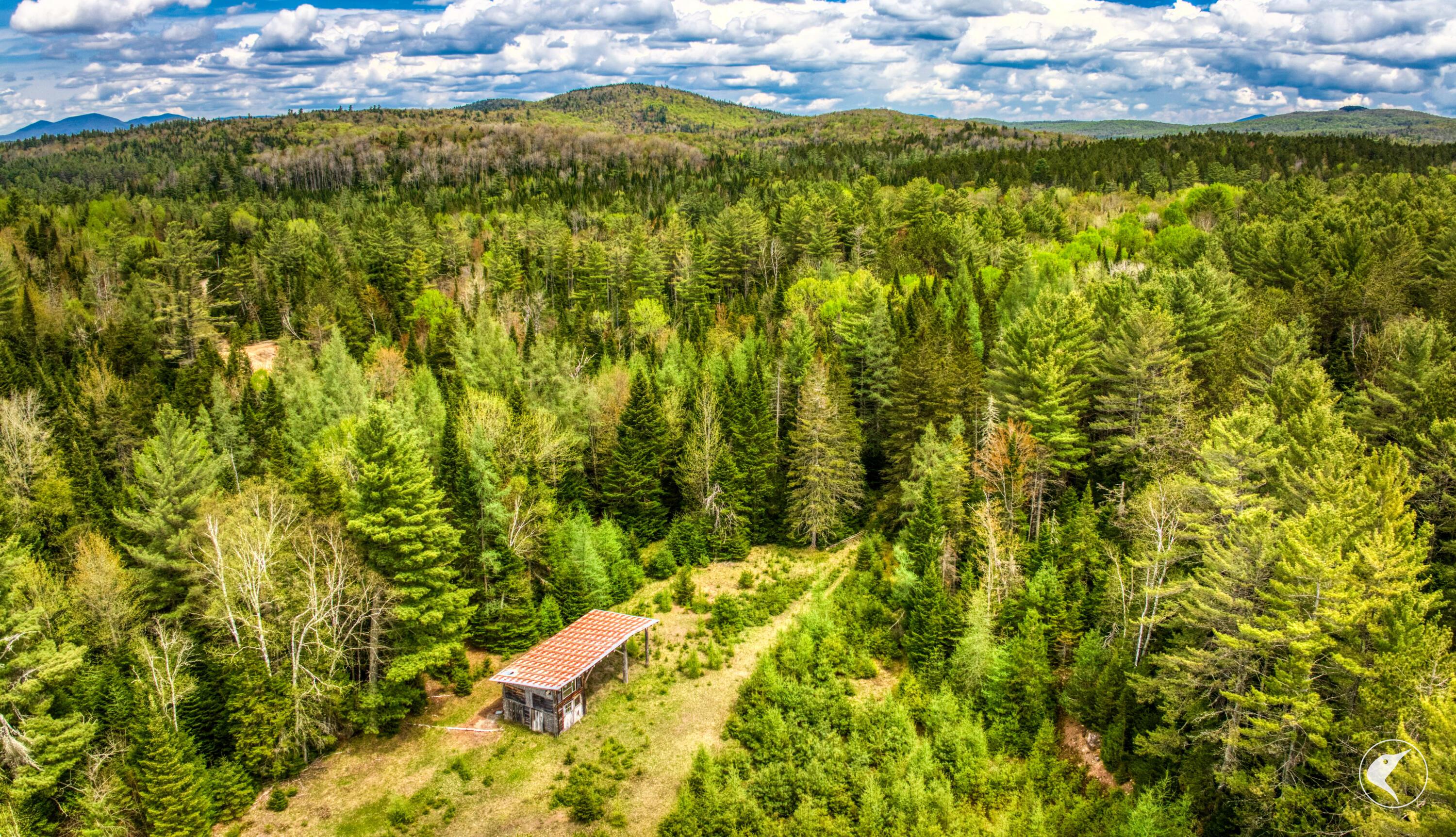 Image 3: DJI_20250516122928_0011_D