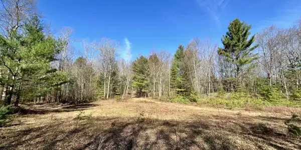 Off Oswegatchie Trail