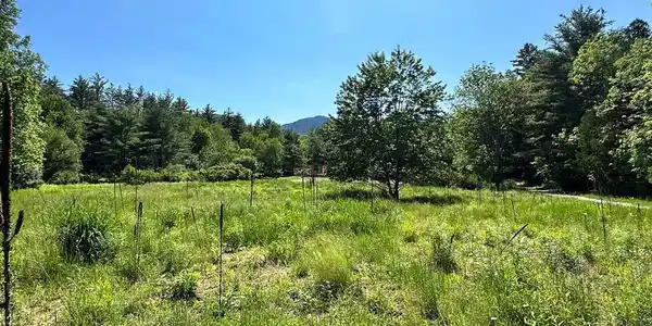 0 Crowningshield Way (Lot #3)