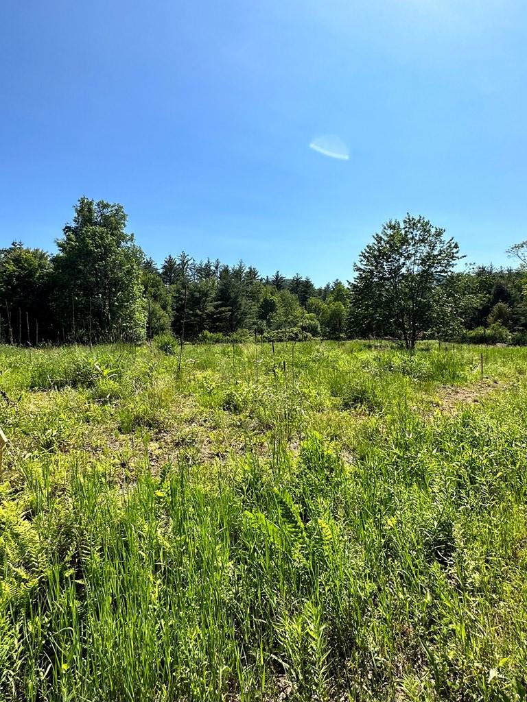 Image 3: Photo 3