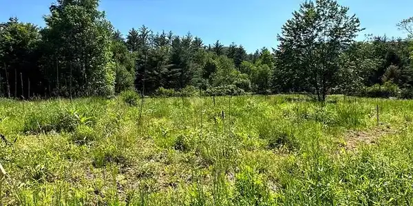 Image 3: Photo 3