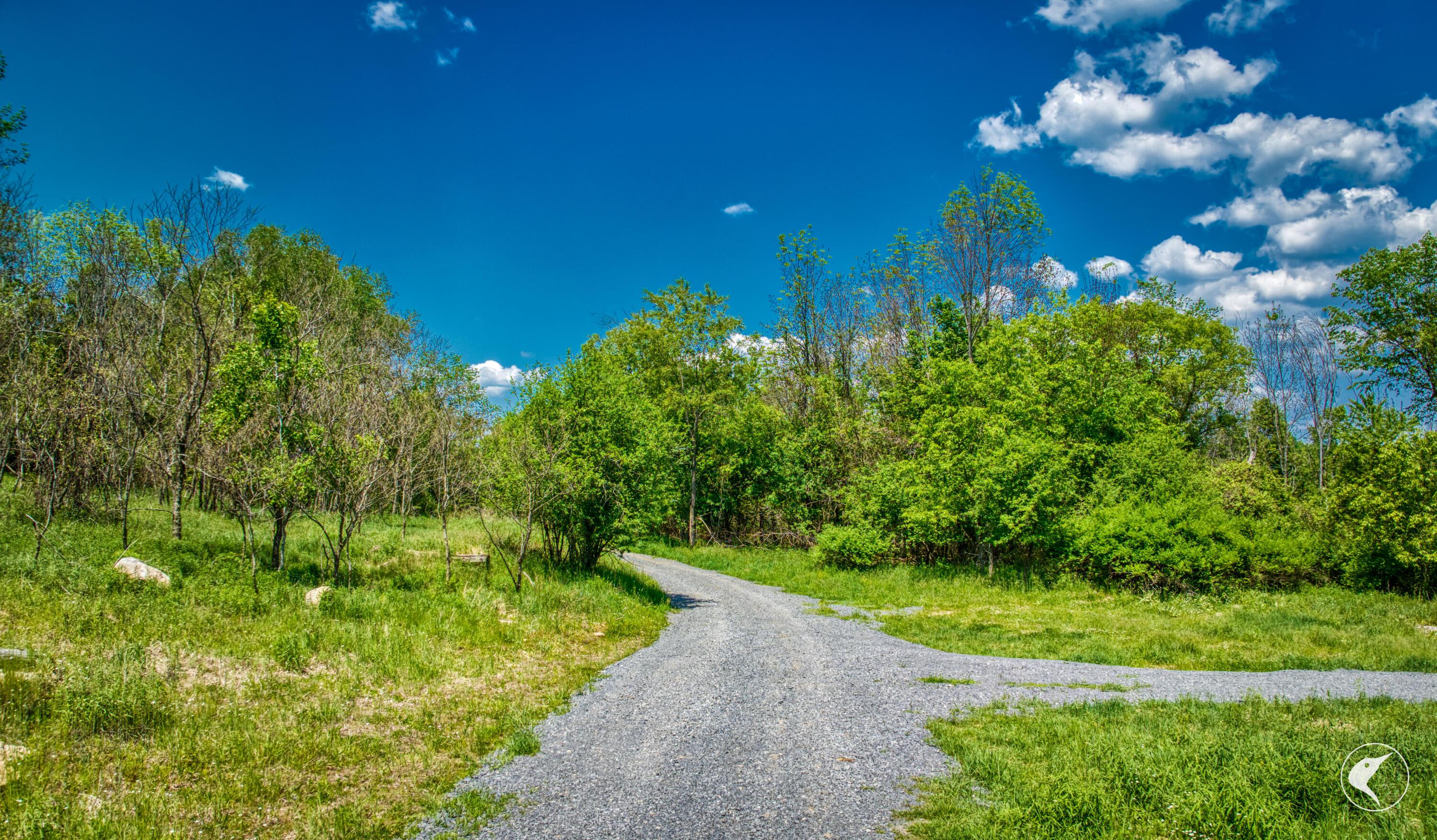 Image 3: Driveway in from Stickney Bridge Rd