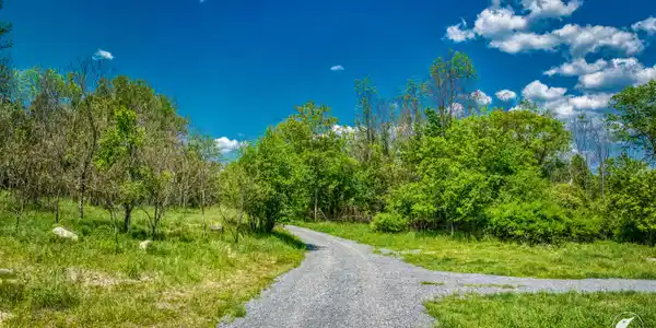 Image 3: Driveway in from Stickney Bridge Rd