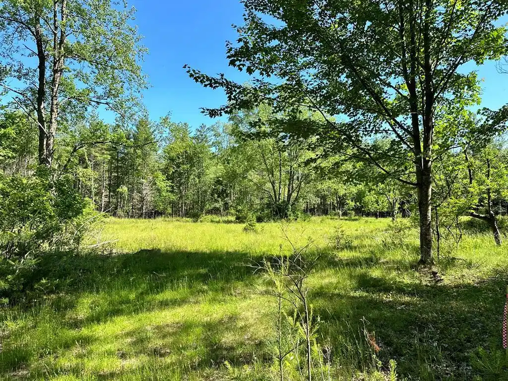 Image 1: Main View