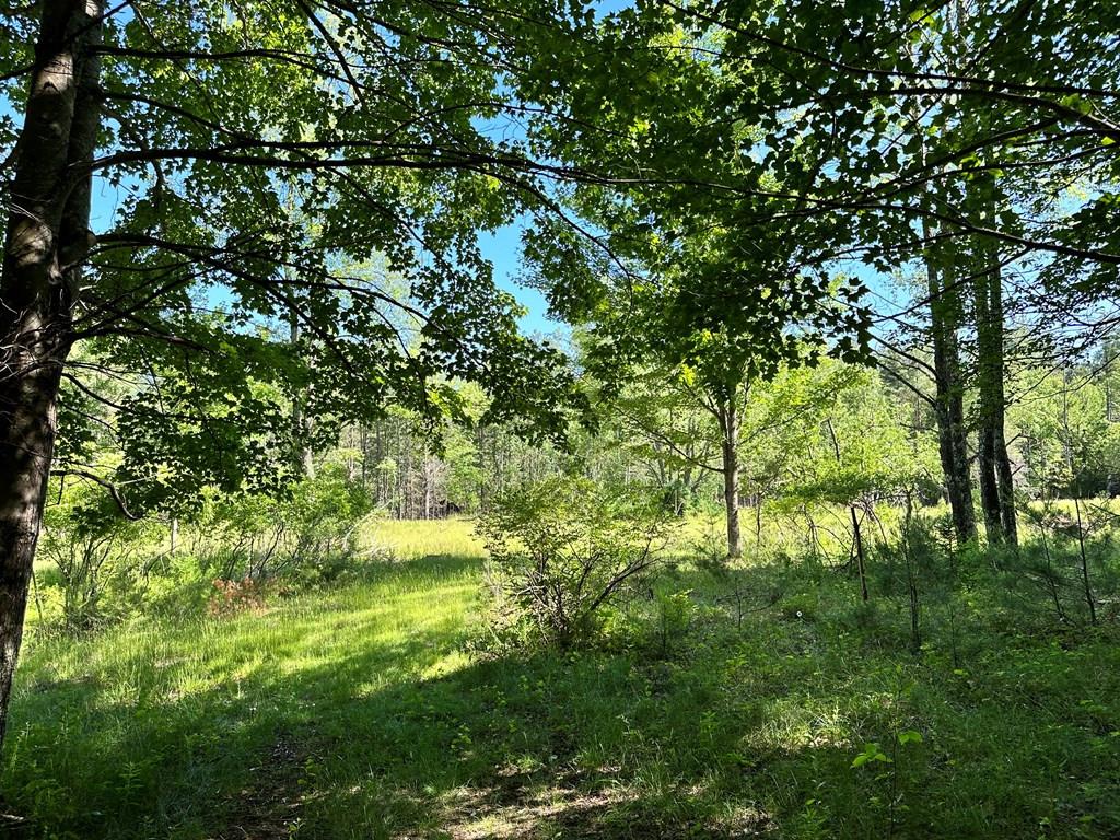 Image 4: Photo 4