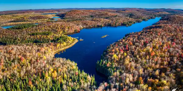 Image 2: DJI_20241018091509_0018_D