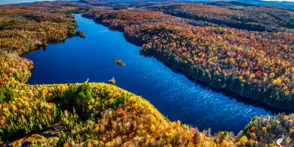 Image 4: DJI_20241018093908_0229_D