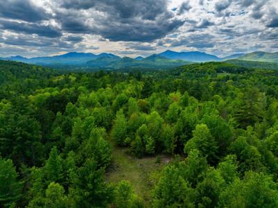 Lot 3 Wildernesscapes Way