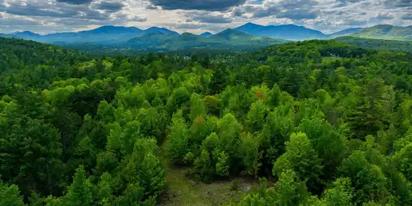 Lot 3 Wildernesscapes Way