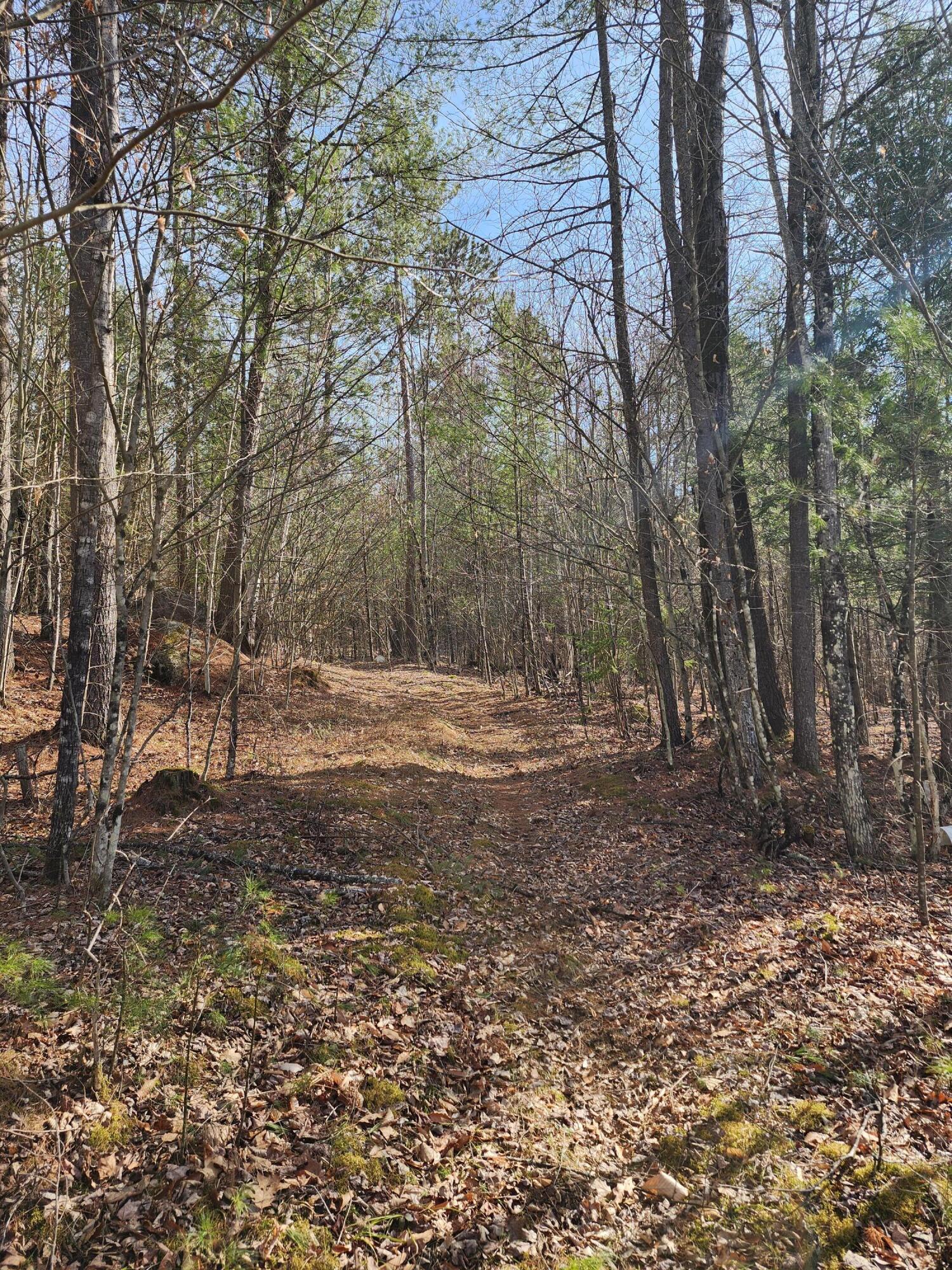 Image 3: 20250414_161627