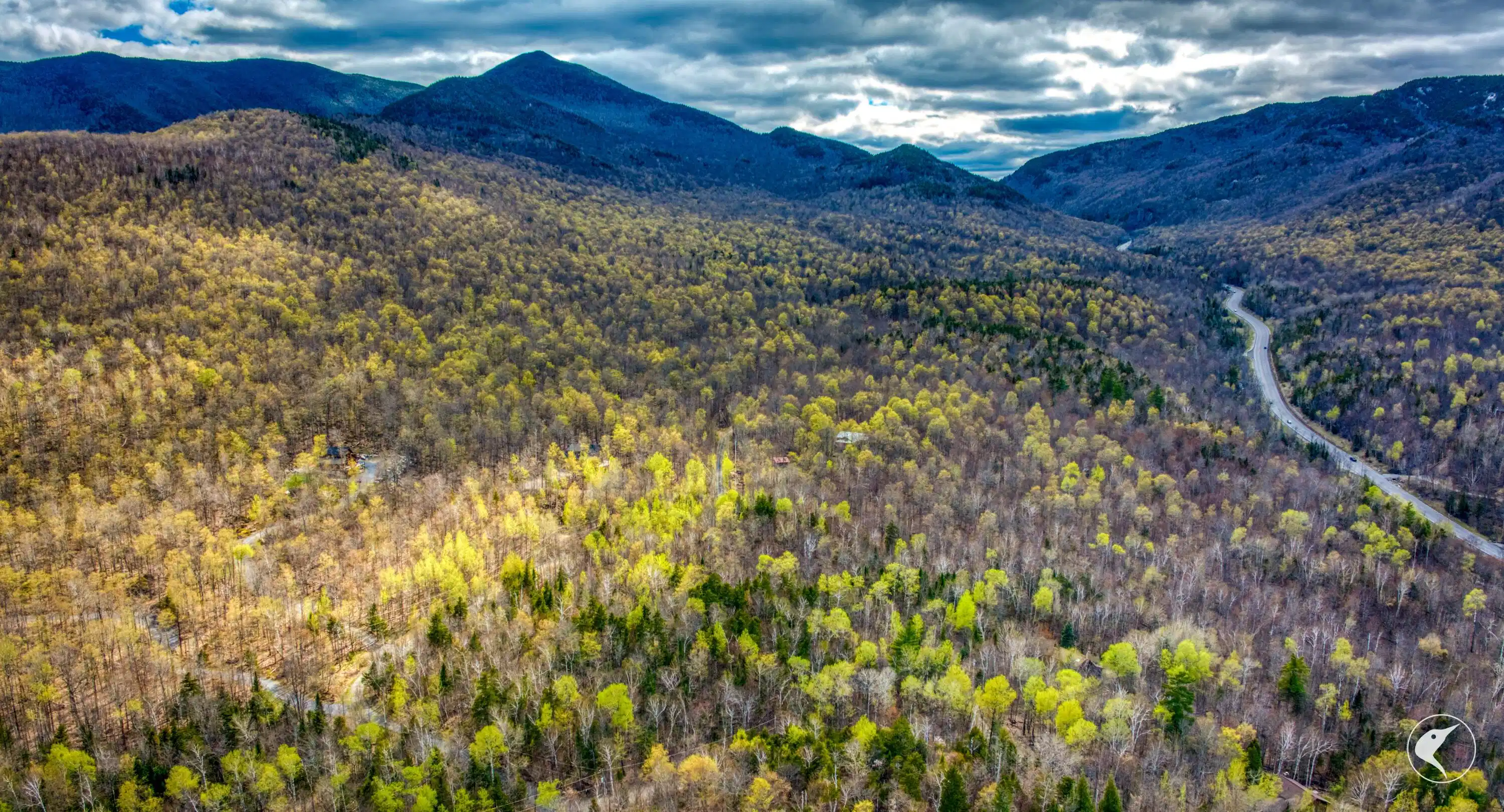 Image 1: DJI_20260507160550_0381_D