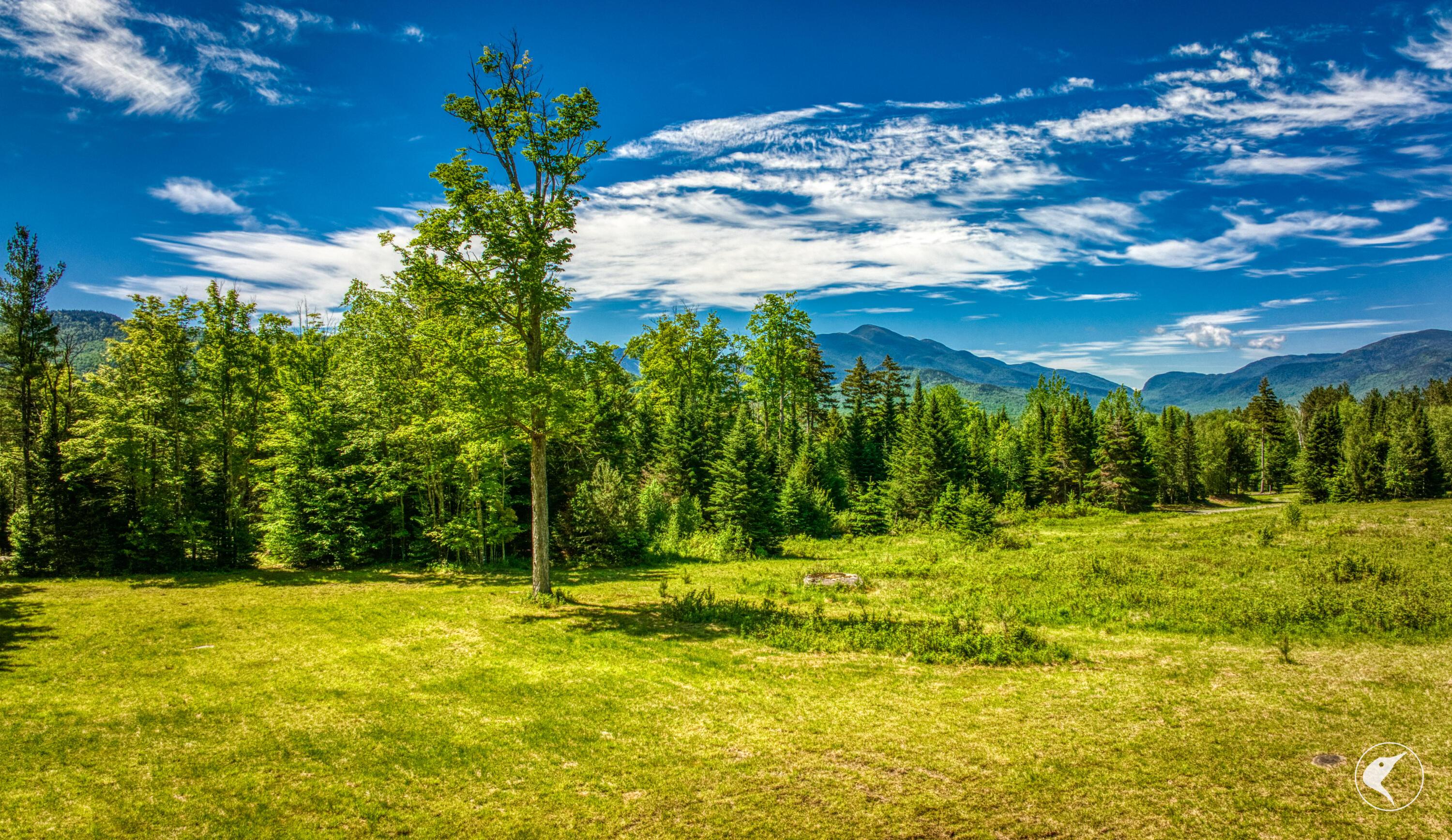 Image 4: DJI_20260609103832_0038_D