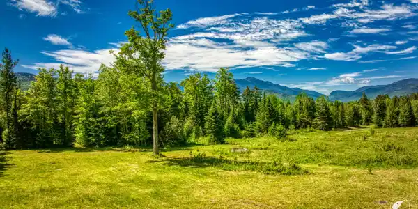 Image 4: DJI_20260609103832_0038_D