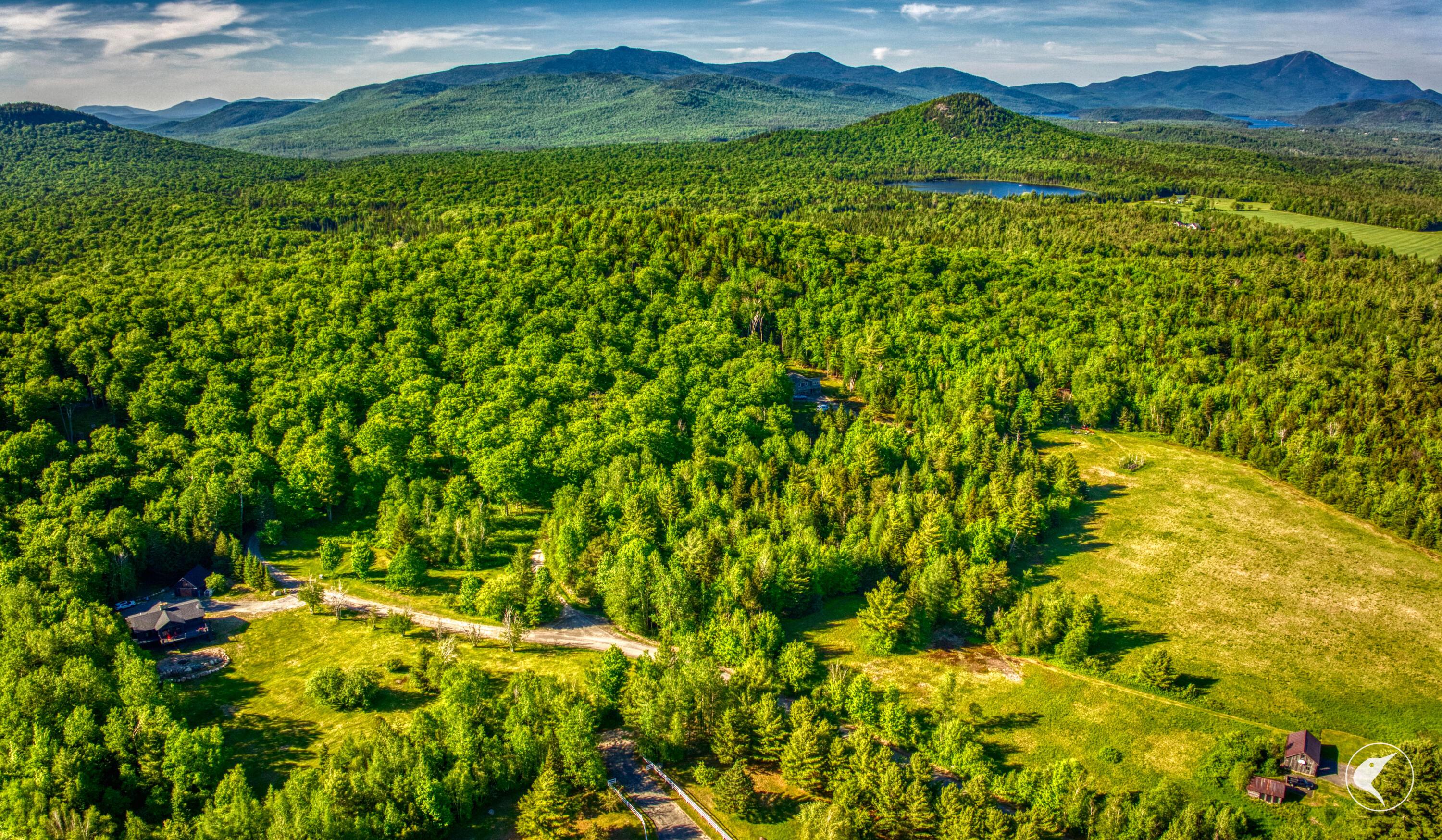 Image 4: DJI_20260609172427_0413_D