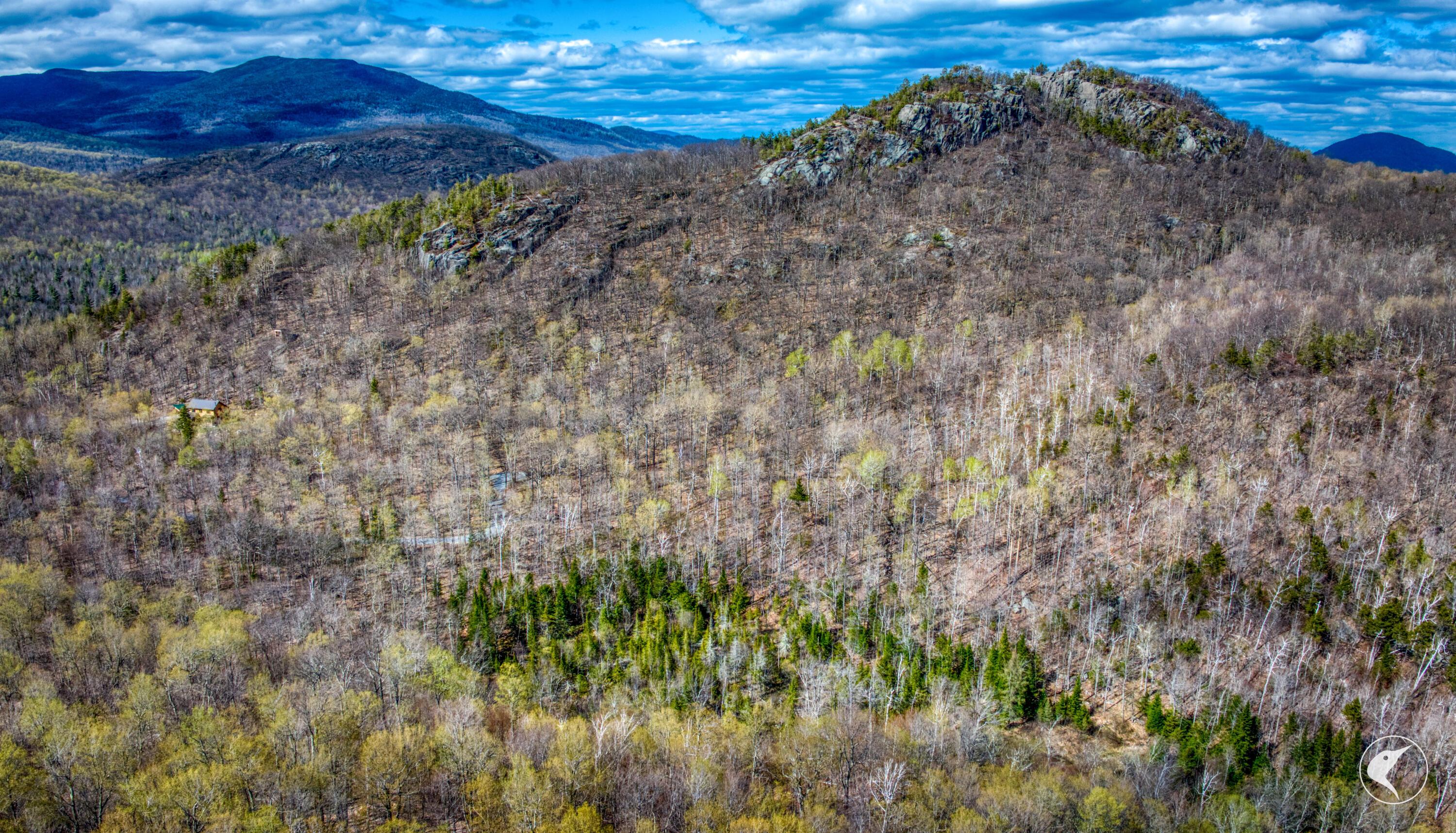 Image 4: DJI_20260507153835_0279_D