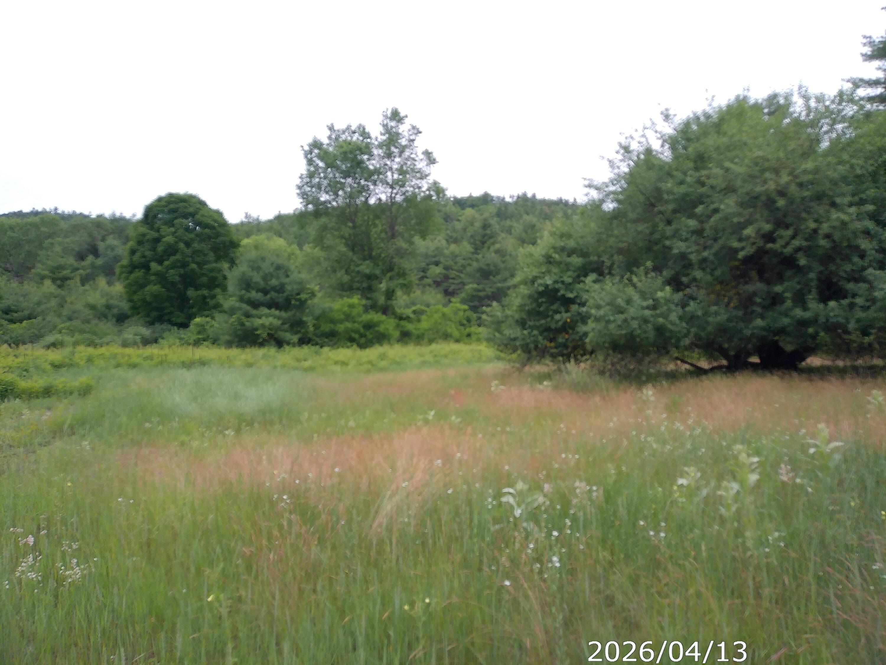 Image 2: 20260413_094306