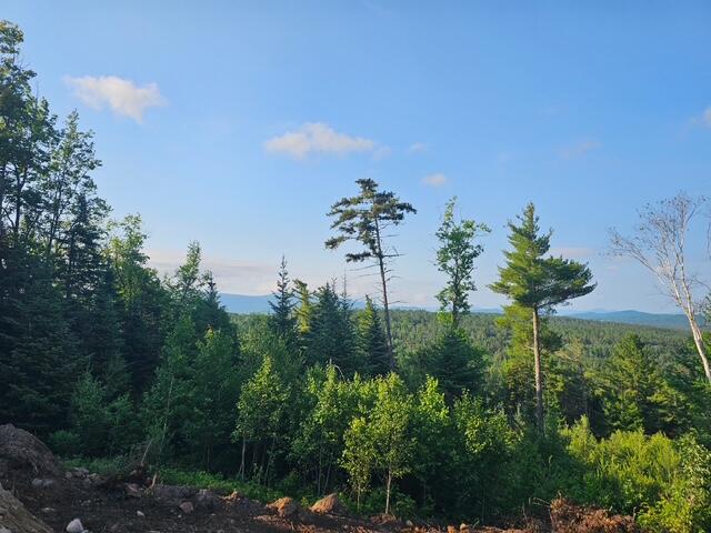Image 2: 20260703_080352