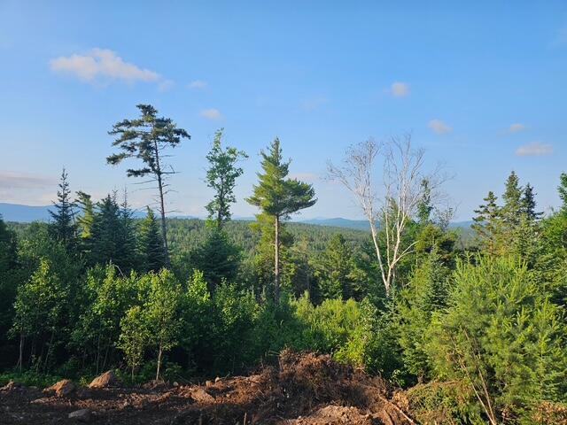 Image 4: 20260703_080350