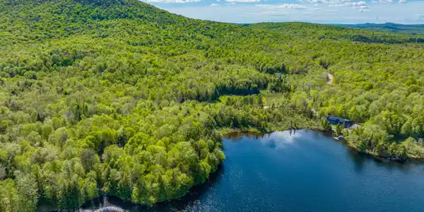 Image 2: 49 Gull Pond Rd-7