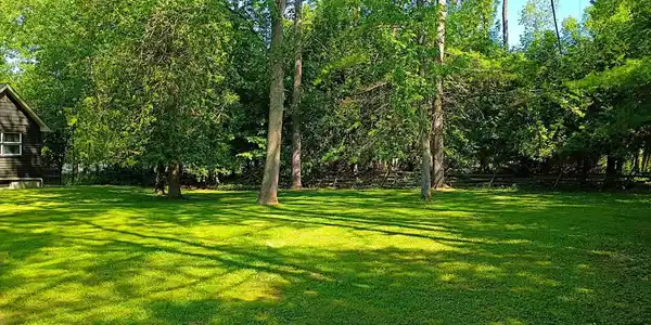 Image 4: 199 Corlear front yard