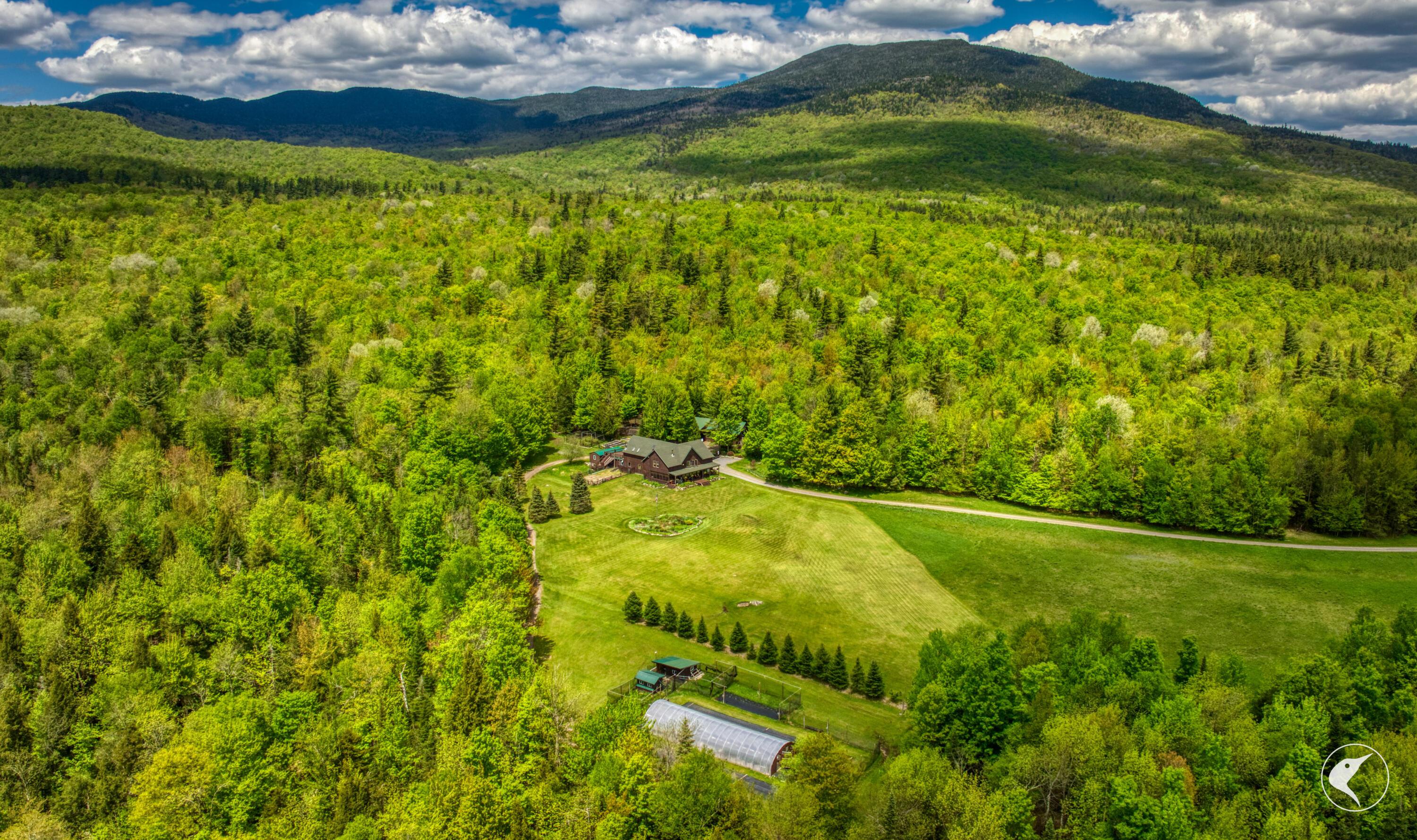 Image 4: DJI_20250527123131_0263_D